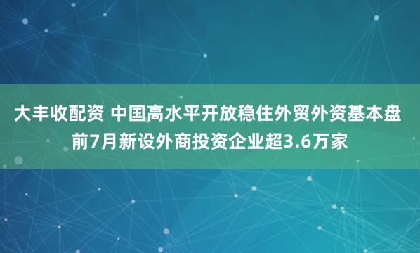大丰收配资 中国高水平开放稳住外贸外资基本盘 前7月新设外商投资企业超3.6万家