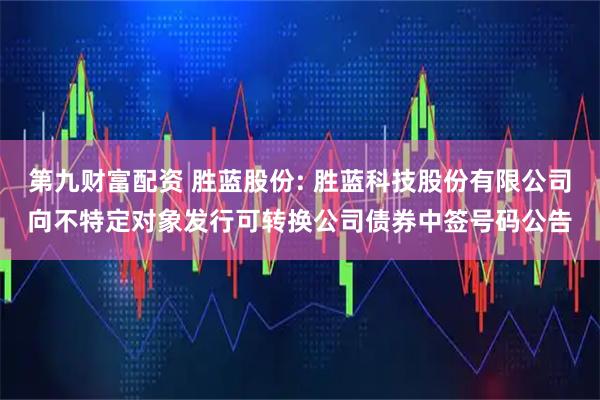 第九财富配资 胜蓝股份: 胜蓝科技股份有限公司向不特定对象发行可转换公司债券中签号码公告