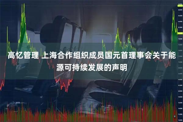 高忆管理 上海合作组织成员国元首理事会关于能源可持续发展的声明