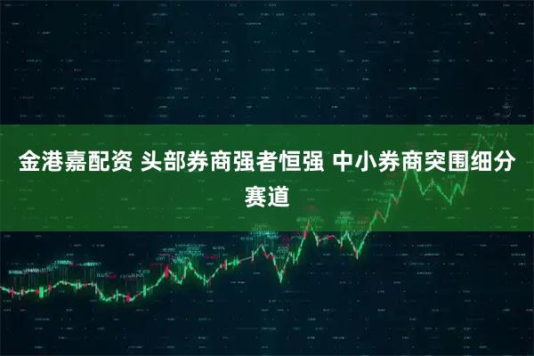 金港嘉配资 头部券商强者恒强 中小券商突围细分赛道