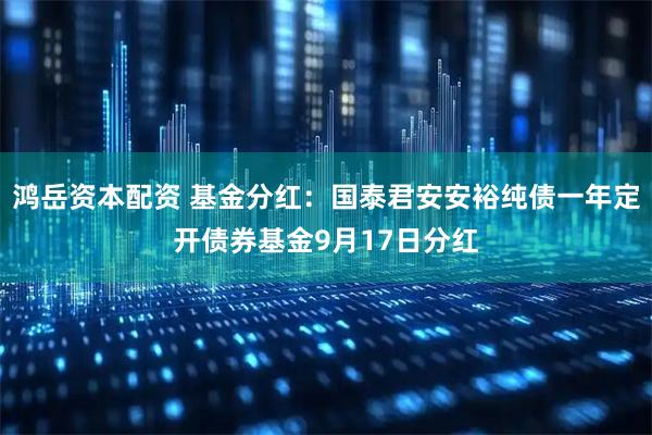 鸿岳资本配资 基金分红：国泰君安安裕纯债一年定开债券基金9月17日分红