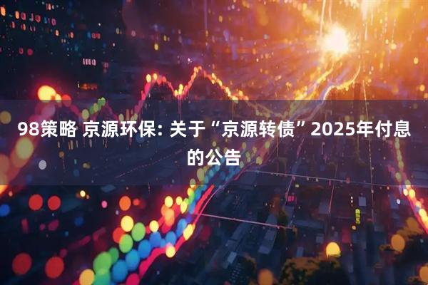 98策略 京源环保: 关于“京源转债”2025年付息的公告