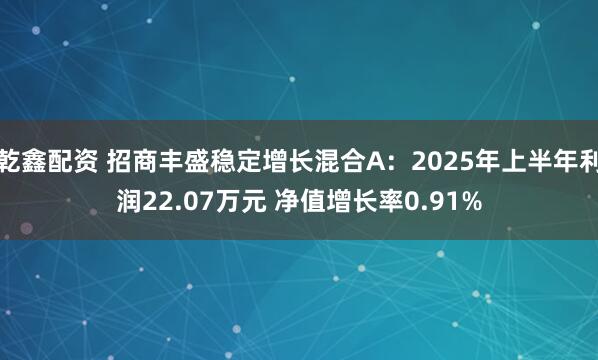 乾鑫配资 招商丰盛稳定增长混合A：2025年上半年利润22.07万元 净值增长率0.91%