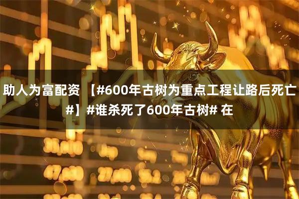 助人为富配资 【#600年古树为重点工程让路后死亡#】#谁杀死了600年古树# 在